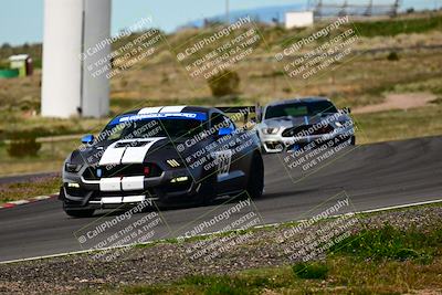 media/Feb-25-2024-Speed Ventures (Sun) [[b9a2a97a4d]]/Mustang Drivers Club/Session 2 (Turn 6)/